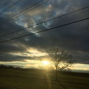 Meet your Posher, Brittney